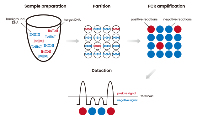 Application of digital PCR